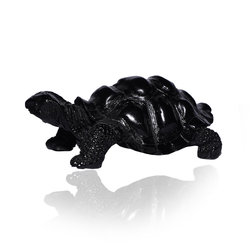 Black Tortoise